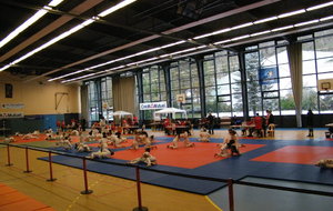 Tournoi 2025-2026 de l'USSE Judo: dimanche 9 novembre 2025